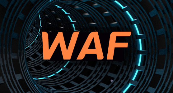 WAF就是对Web流量的零信任
