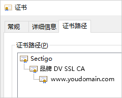 品牌DV SSL CA