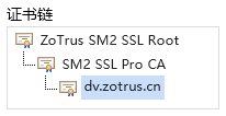 国密DV SSL证书链